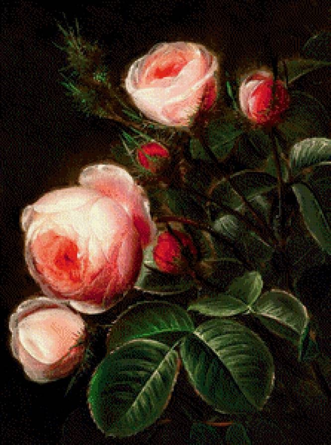 старинная картина - цветы, куст, роза, розы, живопись - предпросмотр