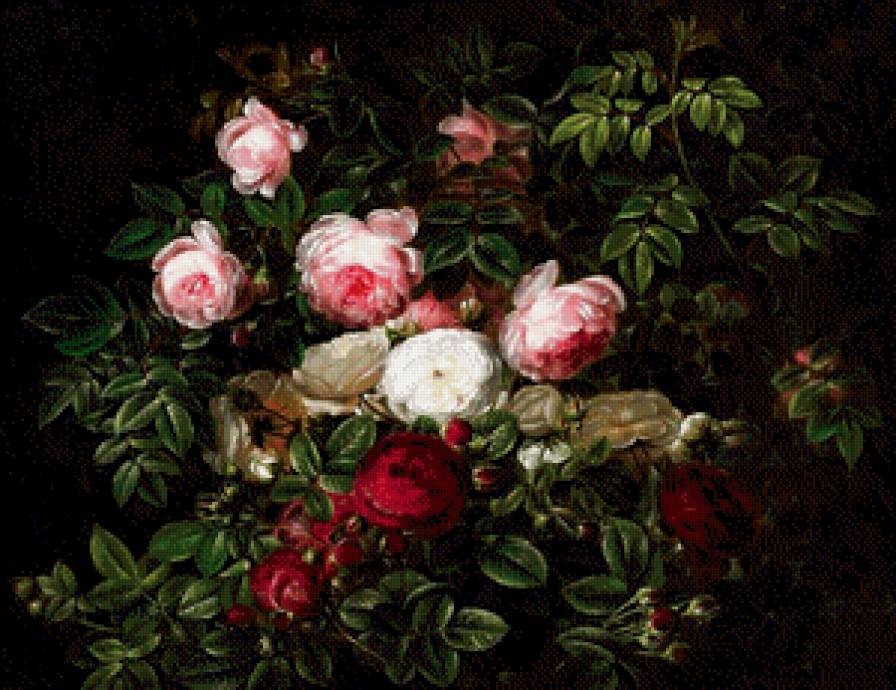 старинная картина - куст, роза, розы, живопись, цветы - предпросмотр