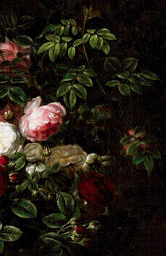 старинная картина часть 2 - роза, живопись, цветы, розы, куст - предпросмотр