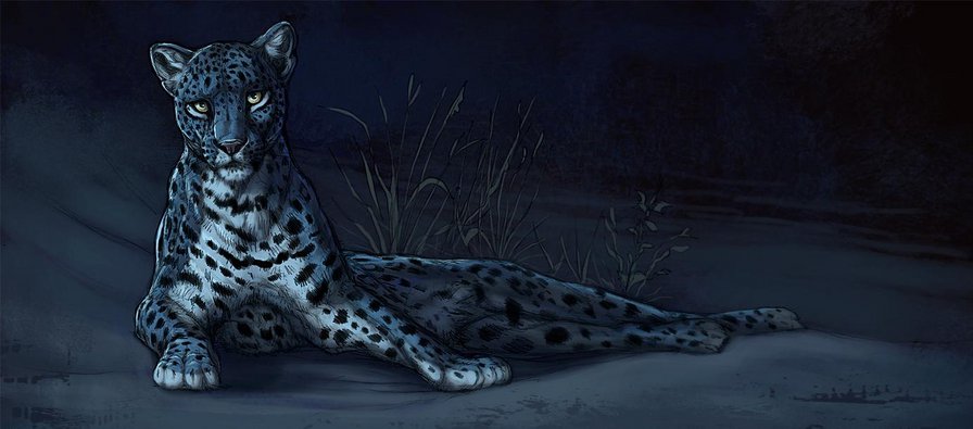 №470225 - кошка, природа - оригинал