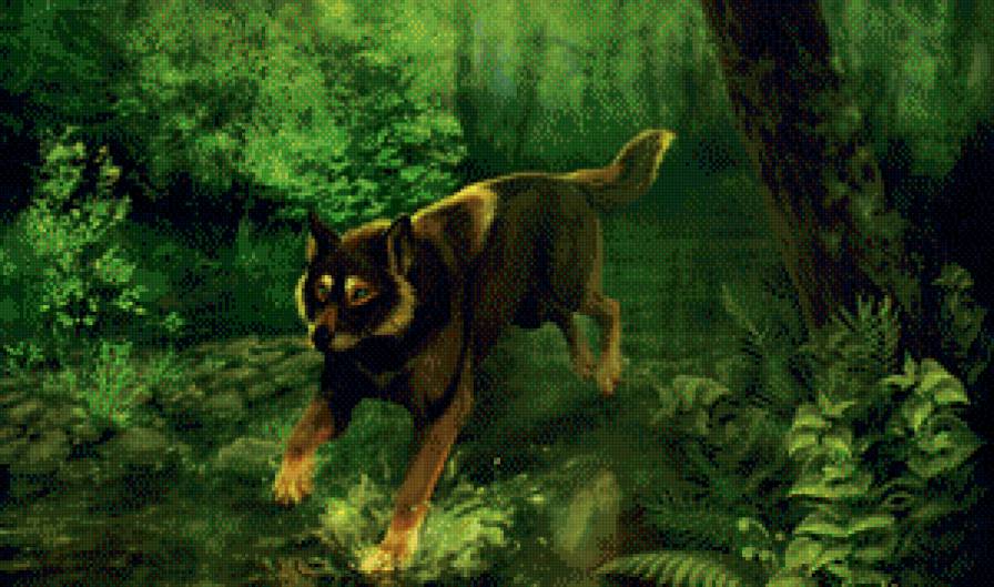 №470229 - волк, природа - предпросмотр