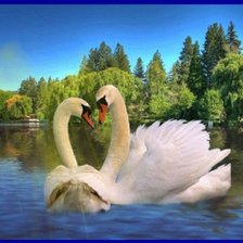 Схема вышивки «два лебедя5»