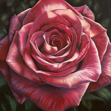 Схема вышивки «бутон»