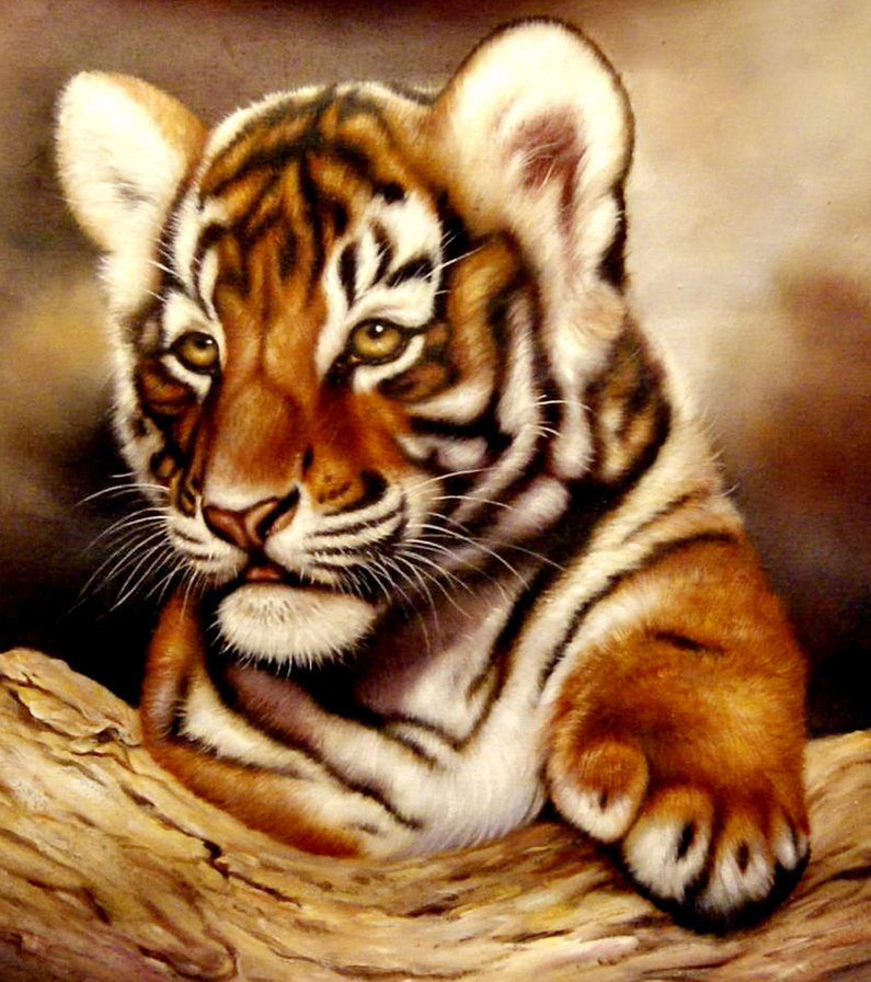 принц джунглей - хищник, тигренок, живопись, тигр - оригинал