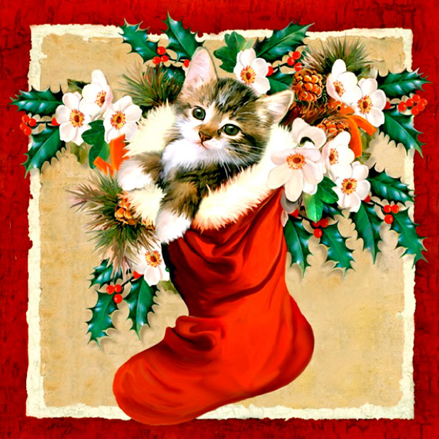 лучший подарок? это я! - котенок, новый год, носок, остролист, кот - оригинал