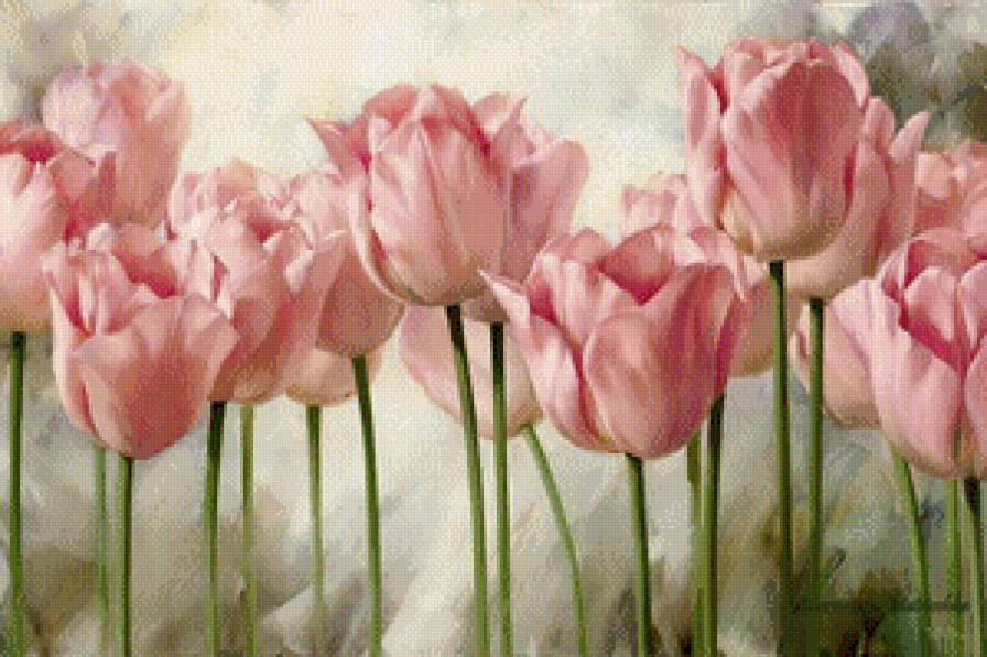 тюльпаны - цветы - предпросмотр