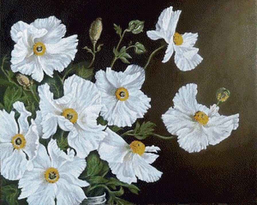 цветы - цветы - предпросмотр