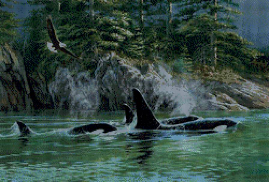 Persis Clayton Weirs. - орел, река, животные, касатка, природа, пейзаж - предпросмотр