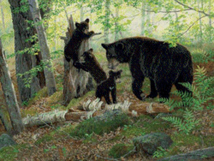 Persis Clayton Weirs - медведь, живопись, природа, животные, семья - предпросмотр