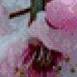 Предпросмотр схемы вышивки «Цвет яблони» (№470793)