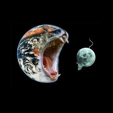 Схема вышивки «Земля - кошка ))»