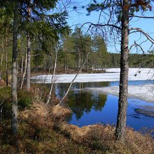 Схема вышивки «весна»