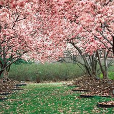 Схема вышивки «весна»