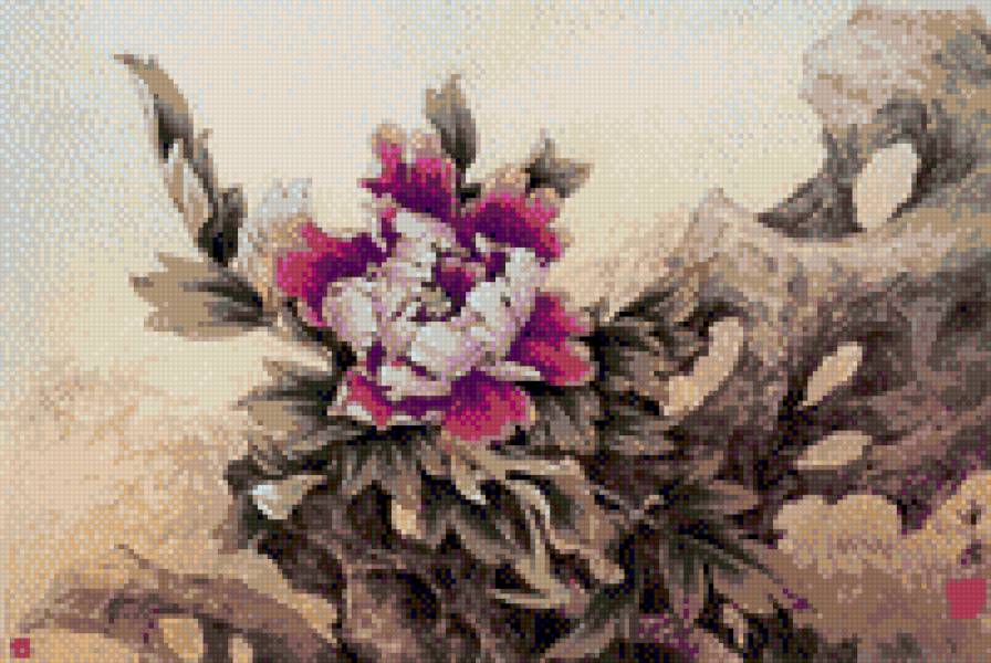 дикий пион - пионы, цветы - предпросмотр