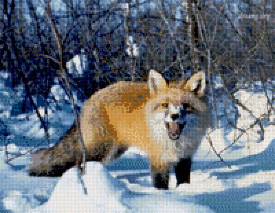 лиса в лесу - животные - предпросмотр