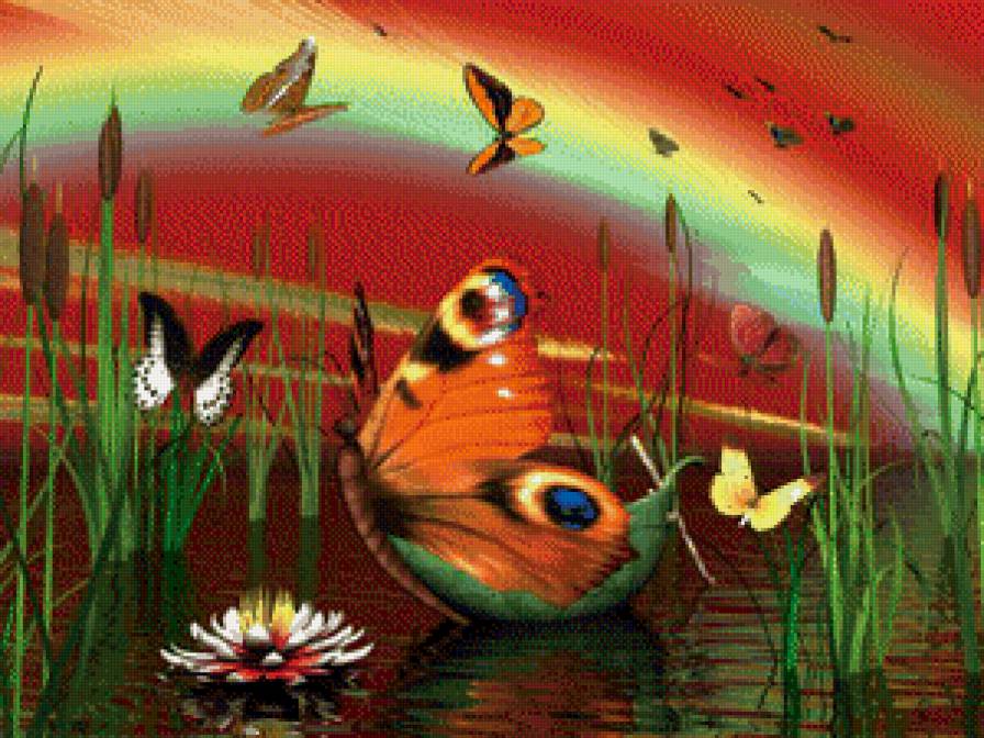 бабочки и радуга - радуга, вода, бабочки - предпросмотр