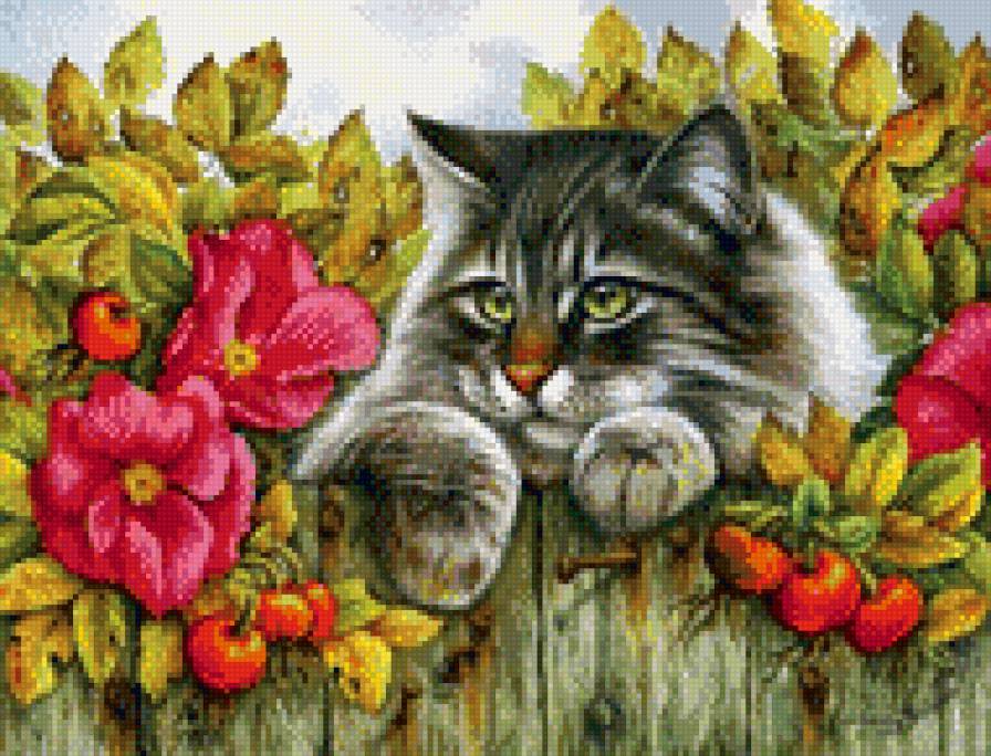 Кот на заборе - кот, цветы, забор - предпросмотр