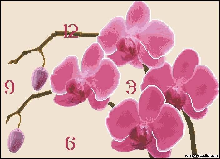 Часы"Орхидея" - цветы, орхидея, часы - оригинал