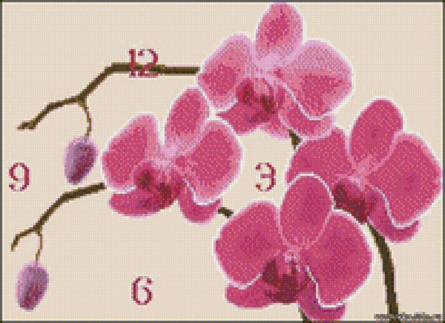 Часы"Орхидея" - цветы, часы, орхидея - предпросмотр