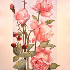 Схема вышивки «розы»