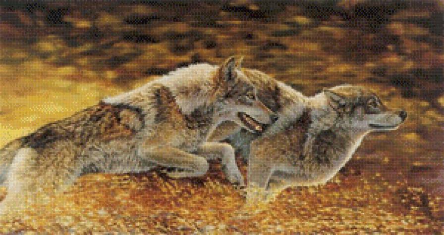 Бегущие волки - волки, животные - предпросмотр