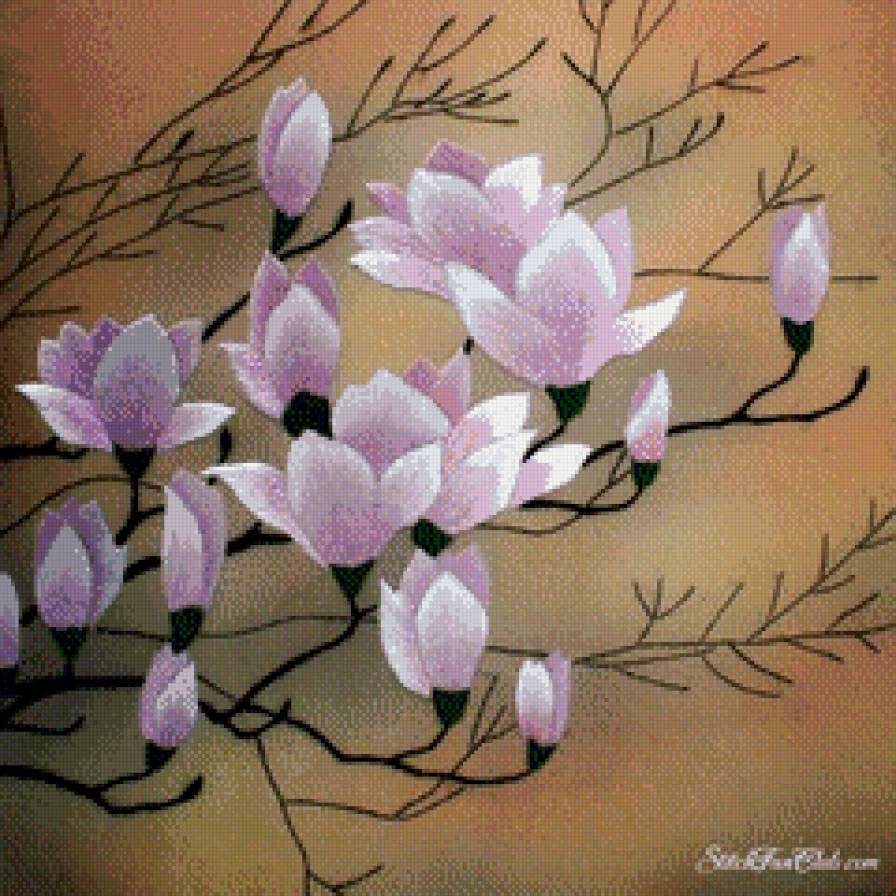 Магнолия - цветы, восток, пейзаж, азия - предпросмотр