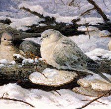 Схема вышивки «куропатки»