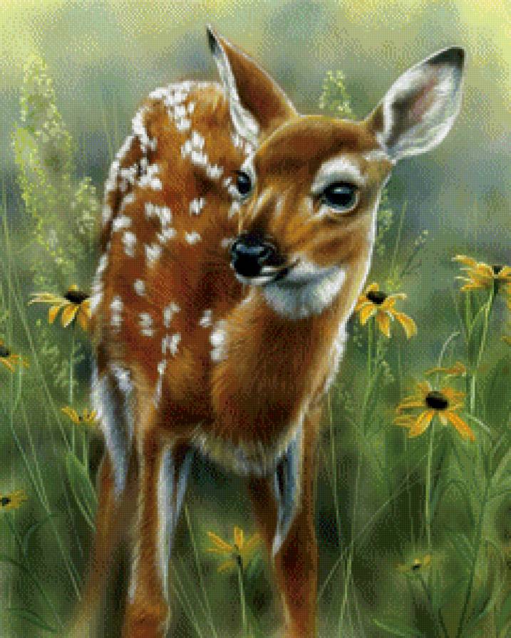 Бэмби - олененок, олени, животные - предпросмотр