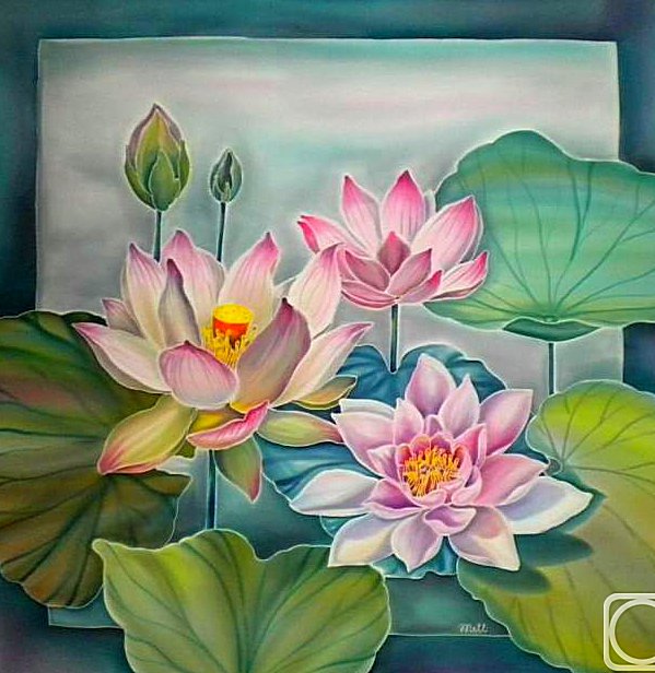 Лотосы - лотосы, озеро, цветы - оригинал