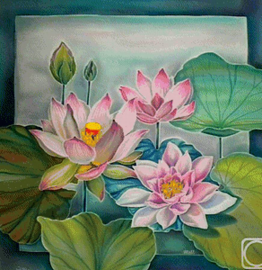 Лотосы - озеро, цветы, лотосы - предпросмотр