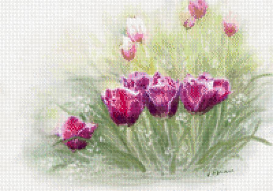 тюльпаны - предпросмотр