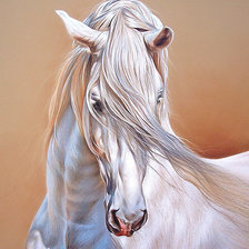 Оригинал схемы вышивки «белый конь» (№471810)