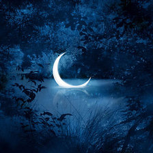 Схема вышивки «№471860»