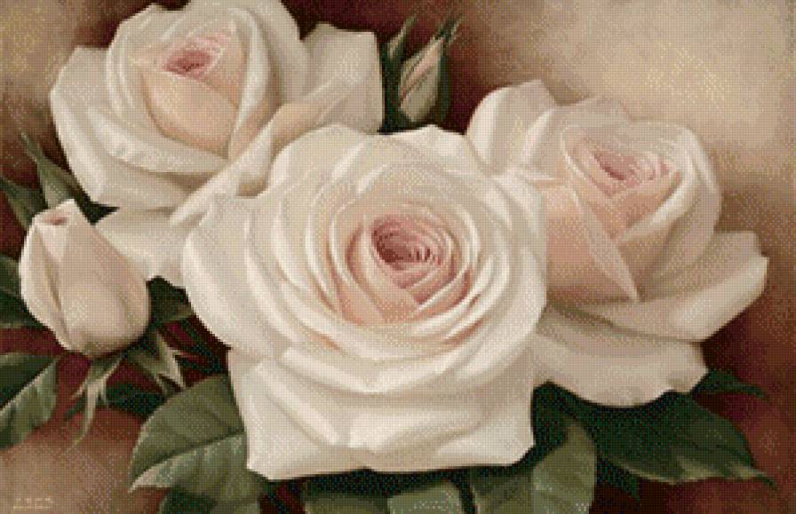 розы - цветы, розы - предпросмотр