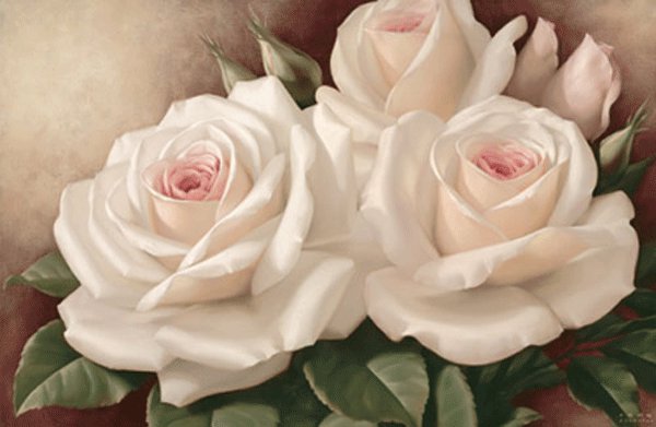 розы - розы, цветы - оригинал