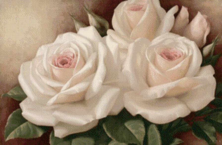 розы - розы, цветы - предпросмотр