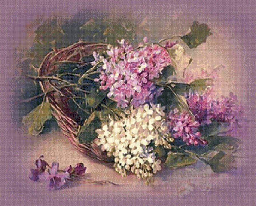 Сирень - сирень, цветы - предпросмотр