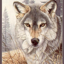 Оригинал схемы вышивки «Волк» (№471951)