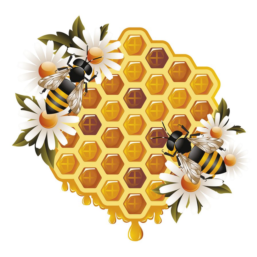 №472402 - соты, цветы, пчелы, мед - оригинал