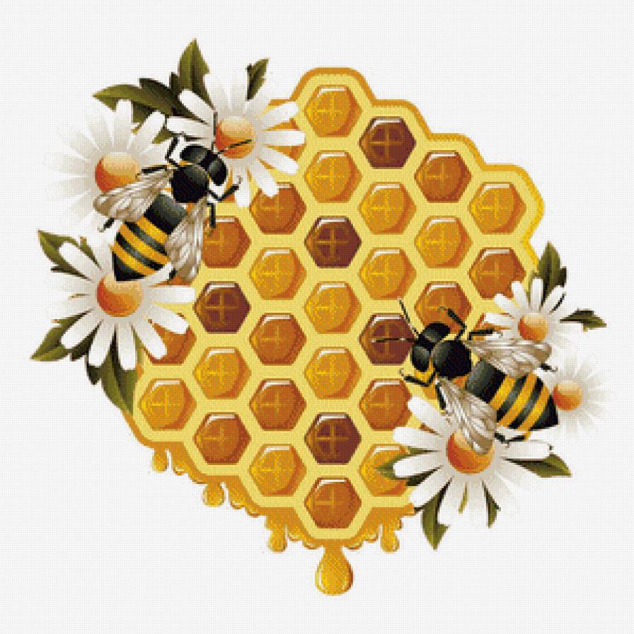 №472402 - цветы, пчелы, соты, мед - предпросмотр