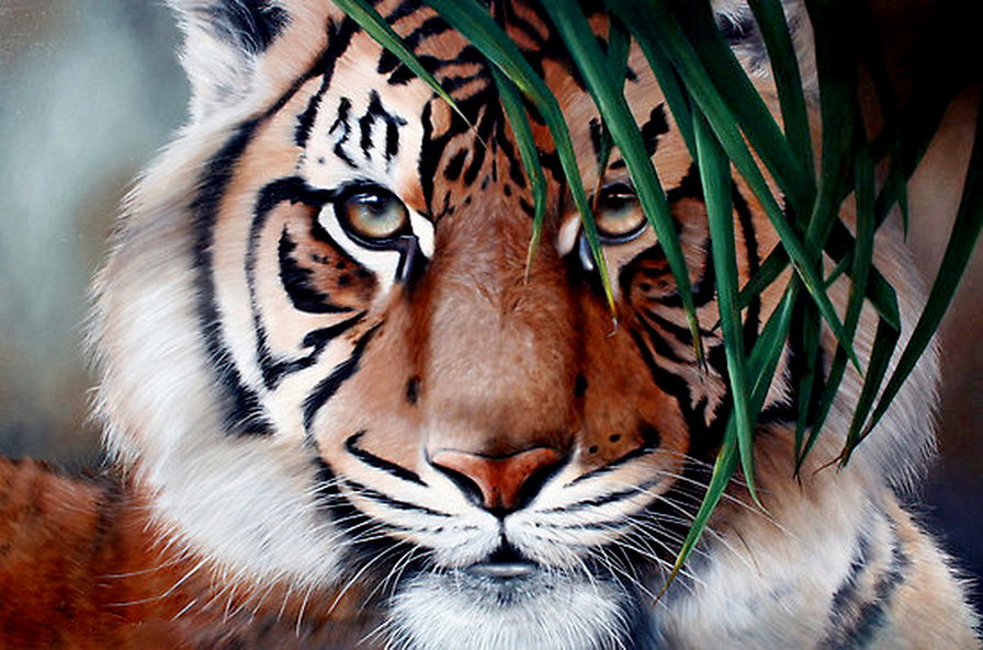 тигр - взгляд, живопись, хищник - оригинал