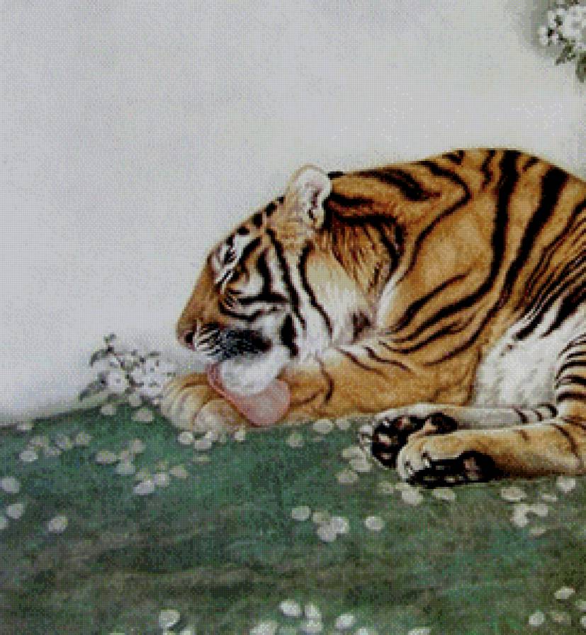 китайская живопись часть 1 - хищник, природа, сакура, тигр - предпросмотр