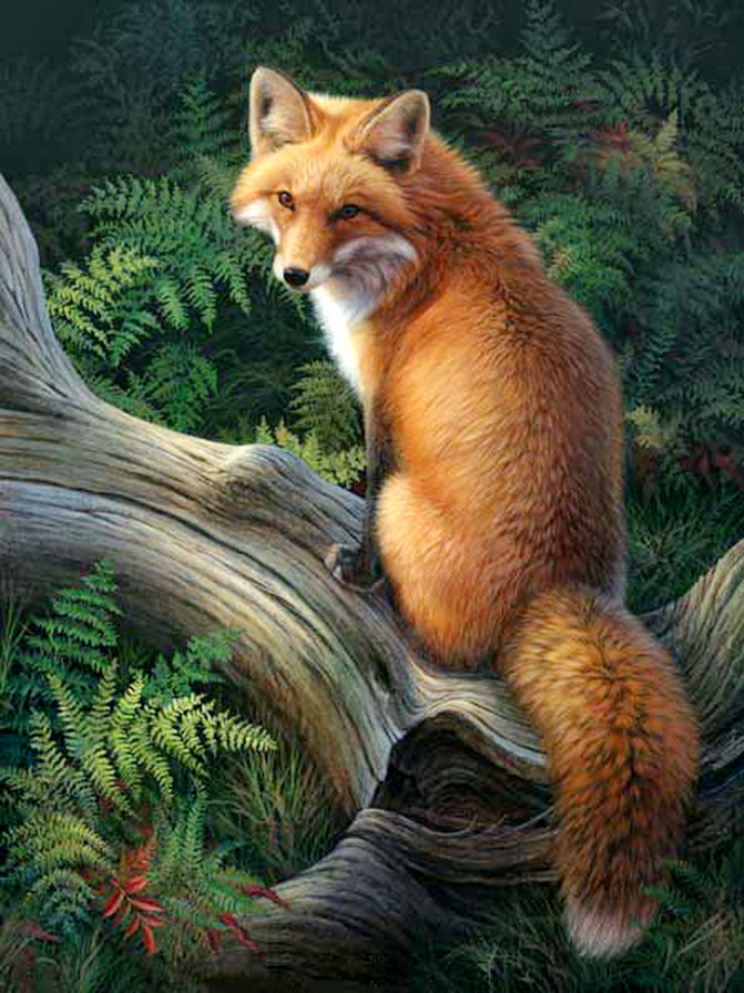 рыжая красотка - папоротник, бревно, дерево, живопись, лес, природа, лиса - оригинал