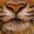 Предпросмотр схемы вышивки «тигр» (№472781)