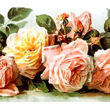 Оригинал схемы вышивки «розы» (№472785)