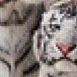 Предпросмотр схемы вышивки «белые тигры» (№473100)