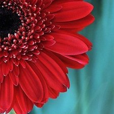 Схема вышивки «цветок»