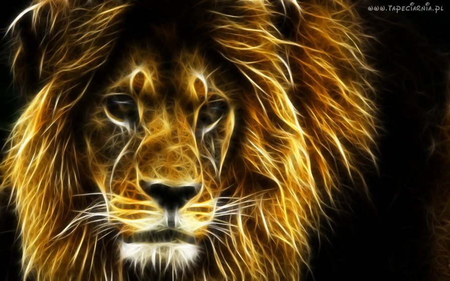 ЭнергоЛеФфФ...)) - львы, энергия, животные, лев, аллегории - оригинал
