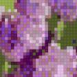 Предпросмотр схемы вышивки «букет ирисов» (№473282)