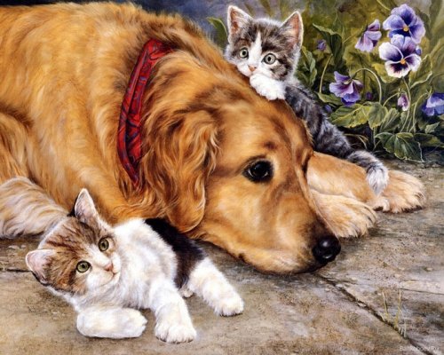 0157 - собака, красота, кошки, щенок, животные, природа, картина - оригинал